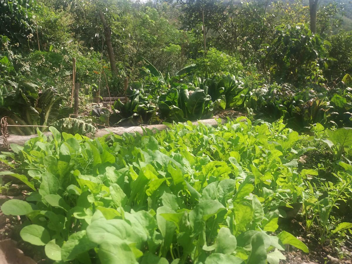 Chalets Huitaca Choachi Luaran gambar