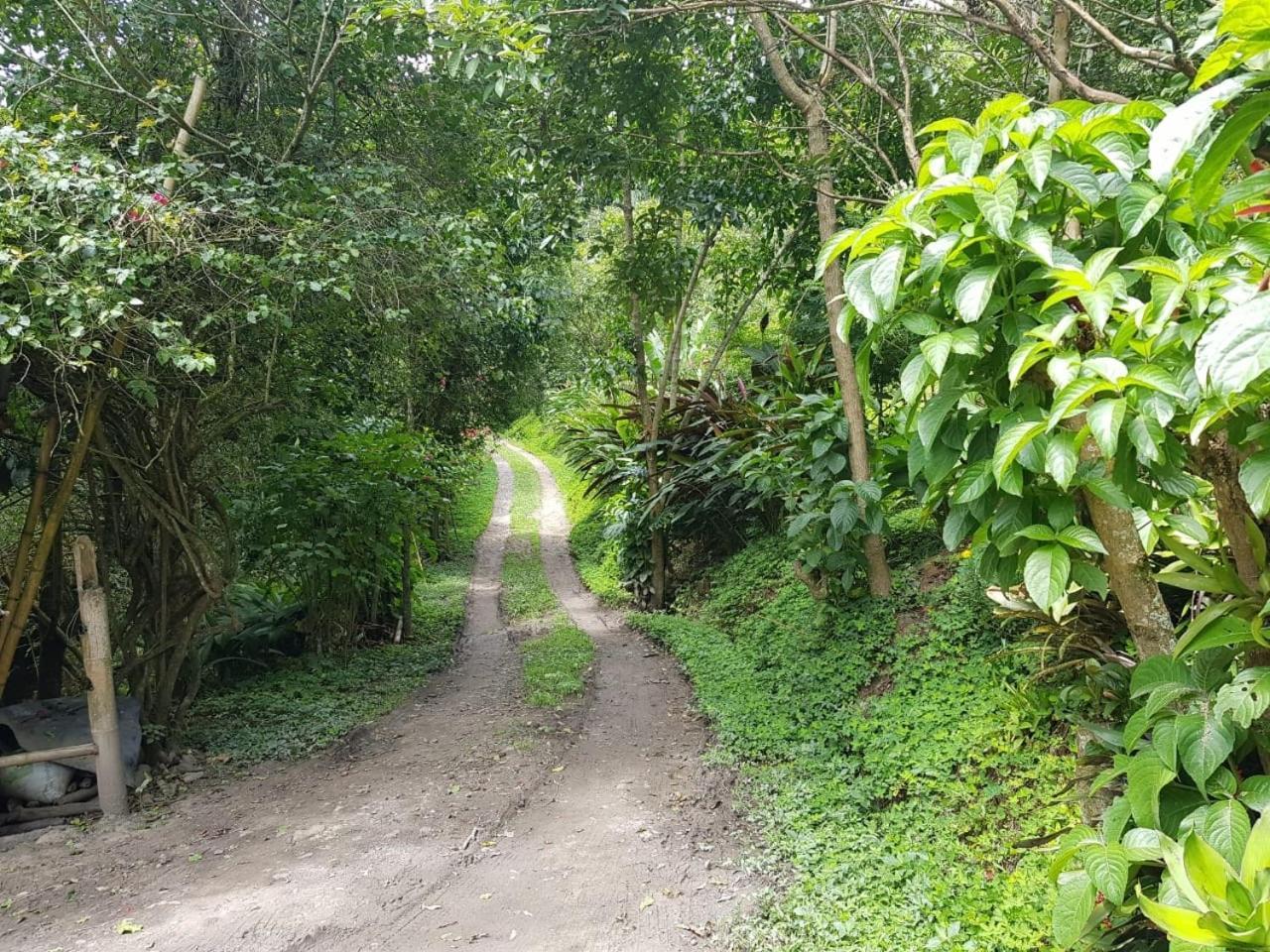 Chalets Huitaca Choachi Luaran gambar